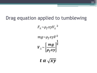 Drag equation applied to tumblewing
𝐹⊥~𝜌 𝑓 𝑥𝑦𝑉⊥
2
𝑚𝑔~𝜌 𝑓 𝑥𝑦𝑉2
𝑽⊥~
𝒎𝒈
𝝆 𝒇 𝒙𝒚
𝟏
𝟐
𝒕 𝜶 𝒙𝒚
55
 