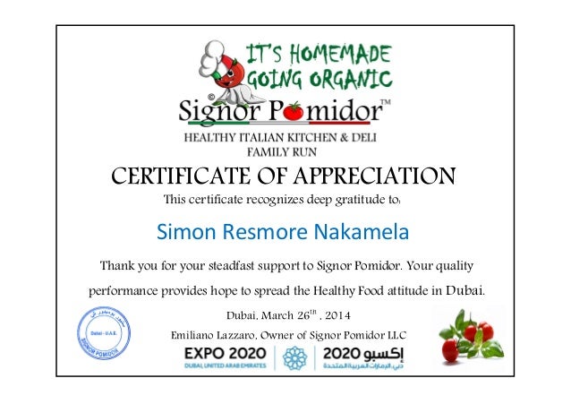 certificate of appreciation staff gratitude certificate