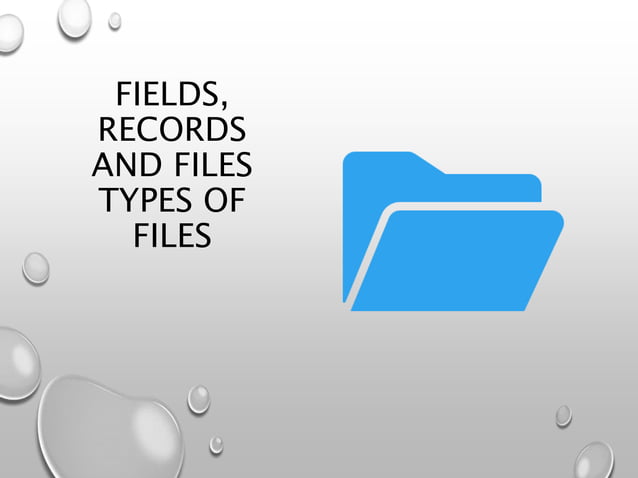 Fields record and files ,types of files from usage point of you | PPTX ...