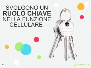 89
SVOLGONO UN
RUOLO CHIAVE
NELLA FUNZIONE
CELLULARE
 