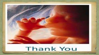 2nd trimester ultrasound..