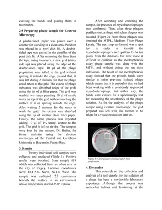 excising the bands and placing them in
microtubes.
2.9 Preparing phage sample for Electron
Microscopy
A plastic-faced paper was placed over a
counter for working in a clean area. Parafilm
was placed in a petri dish lid. A double-
sided tape was pasted in the parafilm of the
petri dish lid. After removing the liner from
the tape, using tweezers, a new grid (shiny
side up) was placed along the edge of the
double-sided tape. 10 μl of the phage
preparation was added to the grid without
spilling it outside the edge, passed that, it
was left during 2 minutes for that the phage
could retain to the grid. The excess of phage
substance was absorbed (edge of the grid)
using the tip of a filter paper. The grid was
washed two times pipetting 10 μl of sterile
water on top of the grid without touching the
surface of it or spilling outside the edge.
After waiting 2 minutes for the water to
wash the grid, the excess was absorbed
using the tip of another clean filter paper.
Finally, the same process was repeated
adding 10 μl of 1% uranyl acetate to the
grid. The grid is left to air-dry. The samples
were kept by the mentor, Dr. Rubin, for
future analysis using the electron
microscope of the Central and Caribbean
University at Bayamón, Puerto Rico.
3. Results
Twenty individual soil samples were
collected and analyzed (Table 1). Positive
results were obtained from sample #18
which was collected from an urban area in
the city of Cayey. Location coordinates
were: 18.11524 North, 66.137 West. The
sample was collected 2.3 centimeters
beneath the surface in an environment
whose temperature skirted 25.0º Celsius.
After collecting and enriching the
sample, the presence of mycobacteriophages
was confirmed. Then, after three plaques
purifications, a phage with clear plaques was
isolated (Figure 2). From these plaques was
obtained the MTPL, Medium Titter Phage
Lysate. The next step performed was a spot
test in order to identify the
mycobacteriophage’s web pattern to do ten
plates from the dilutions but time made it
difficult to continue so the electrophoresis
assay phage sample was done with the
MTPL and without doing the ten plate
cultivation. The result of the electrophoresis
assay showed that the protein bands were
similar to other previous isolated phage
which means that it is probable that we had
been working with a previously sequenced
mycobacteriophage, but either way, the
bands were excised for a spectroscopy test
for measuring the absorbency of the phage
solution. As for the analysis of the phage
sample using electron microscope, the grid
prepared was left with the mentor to be
taken for a visual evaluation later on.
4. Discussion
This research on the collection and
analysis of a soil sample for the isolation of
a phage has been a worthwhile laboratory
experience. Although the process was
somewhat tedious and frustrating at the
Figure 3: Clear plaques obtained after third
purification
 