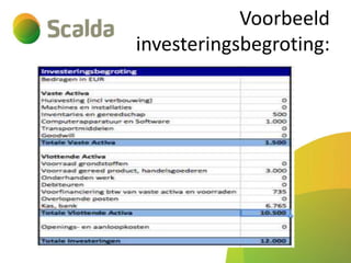 Voorbeeld
investeringsbegroting:

 