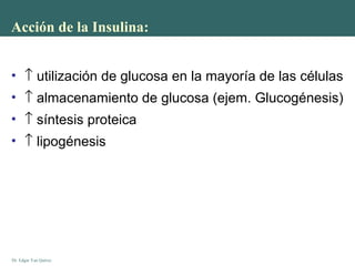 Dr. Edgar Yan Quiroz
Acción de la Insulina:
• ↑ utilización de glucosa en la mayoría de las células
• ↑ almacenamiento de glucosa (ejem. Glucogénesis)
• ↑ síntesis proteica
• ↑ lipogénesis
 