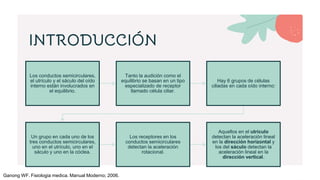 Los conductos semicirculares,
el utrículo y el sáculo del oído
interno están involucrados en
el equilibrio.
Tanto la audición como el
equilibrio se basan en un tipo
especializado de receptor
llamado célula ciliar.
Hay 6 grupos de células
ciliadas en cada oído interno:
Un grupo en cada uno de los
tres conductos semicirculares,
uno en el utrículo, uno en el
sáculo y uno en la cóclea.
Los receptores en los
conductos semicirculares
detectan la aceleración
rotacional.
Aquellos en el utrículo
detectan la aceleración lineal
en la dirección horizontal y
los del sáculo detectan la
aceleración lineal en la
dirección vertical.
INTRODUCCIÓN
Ganong WF. Fisiologia medica. Manual Moderno; 2006.
 