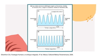 Silverthorn DU, Fisiología Humana: un enfoque integrado. 4ª ed. México: Editorial Médica Panamericana; 2008.
 