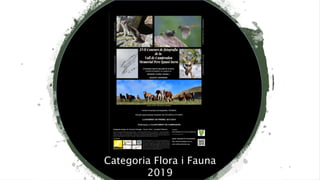 Categoria Flora i Fauna
2019
 