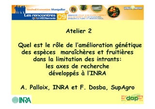 Atelier 2

Quel est le rôle de l’amélioration génétique
 des espèces maraîchères et fruitières
     dans la limitation des intrants:
         les axes de recherche
           développés à l’INRA

A. Palloix, INRA et F. Dosba, SupAgro
 