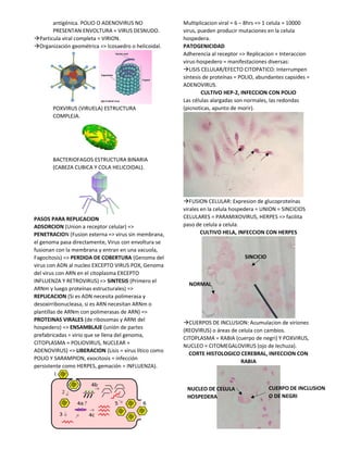Guia de supervivencia microbiologia | PDF