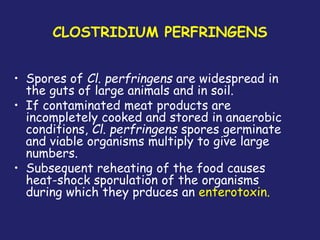 CLOSTRIDIUM PERFRINGENS
• Spores of Cl. perfringens are widespread in
the guts of large animals and in soil.
• If contaminated meat products are
incompletely cooked and stored in anaerobic
conditions, Cl. perfringens spores germinate
and viable organisms multiply to give large
numbers.
• Subsequent reheating of the food causes
heat-shock sporulation of the organisms
during which they prduces an enterotoxin.
 