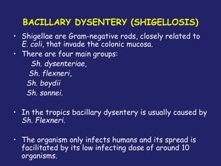 BACILLARY DYSENTERY (SHIGELLOSIS)
• Shigellae are Gram-negative rods, closely related to
E. coli, that invade the colonic mucosa.
• There are four main groups:
Sh. dysenteriae,
Sh. flexneri,
Sh. boydii
Sh. sonnei.
• In the tropics bacillary dysentery is usually caused by
Sh. Flexneri.
• The organism only infects humans and its spread is
facilitated by its low infecting dose of around 10
organisms.
 