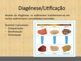 Diagénese/Litificação
Através da diagénese, os sedimentos transformam-se em
rochas sedimentares consolidadas/coerentes.
Ocorrem 3 processos:
- Compactação
- Desidratação
- Cimentação
 