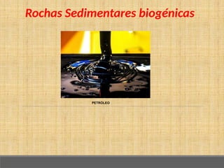 Rochas Sedimentares biogénicas
PETRÓLEO
 