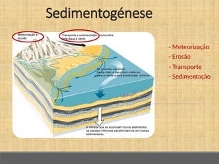 Sedimentogénese
- Meteorização
- Erosão
- Transporte
- Sedimentação
 