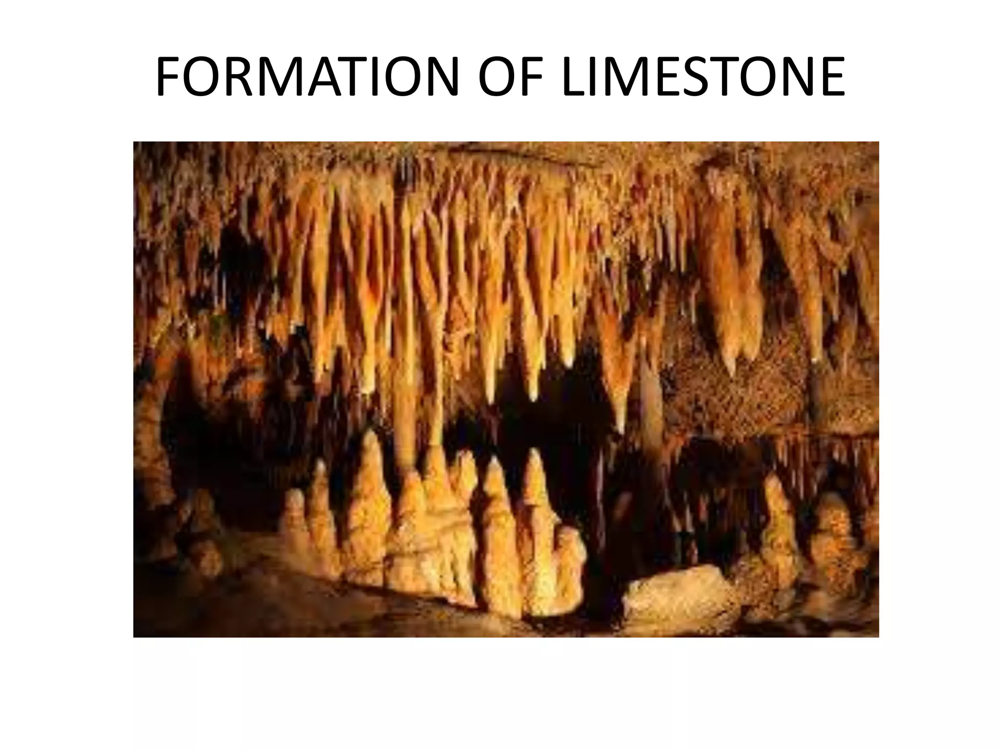 FORMATION OF LIMESTONE
 
