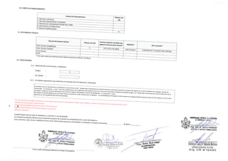 2 FORMATO 7A - REGISTRO PIP.pdf