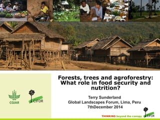 Forests, trees and agroforestry: 
What role in food security and 
nutrition? 
Terry Sunderland 
Global Landscapes Forum, Lima, Peru 
7thDecember 2014 
THINKING beyond the canopy 
 