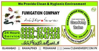 Fumigation company in bahria town Rawalpindi