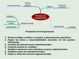 Propósitos de la Organización Divide el trabajo a realizar en puestos y departamentos específicos. Asigna las tareas y responsabilidades asociadas con los puestos individuales. Coordina las diversas tareas organizacionales. Conjunta puestos en unidades. Establece relaciones entre individuos, grupos y departamentos. Establece líneas de autoridad formales. Asigna y utiliza los recursos organizacionales. 