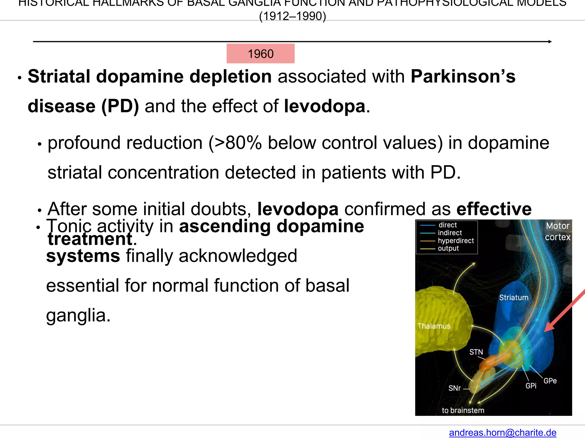 Function & Anatomy of the Basal Ganglia | PPTX