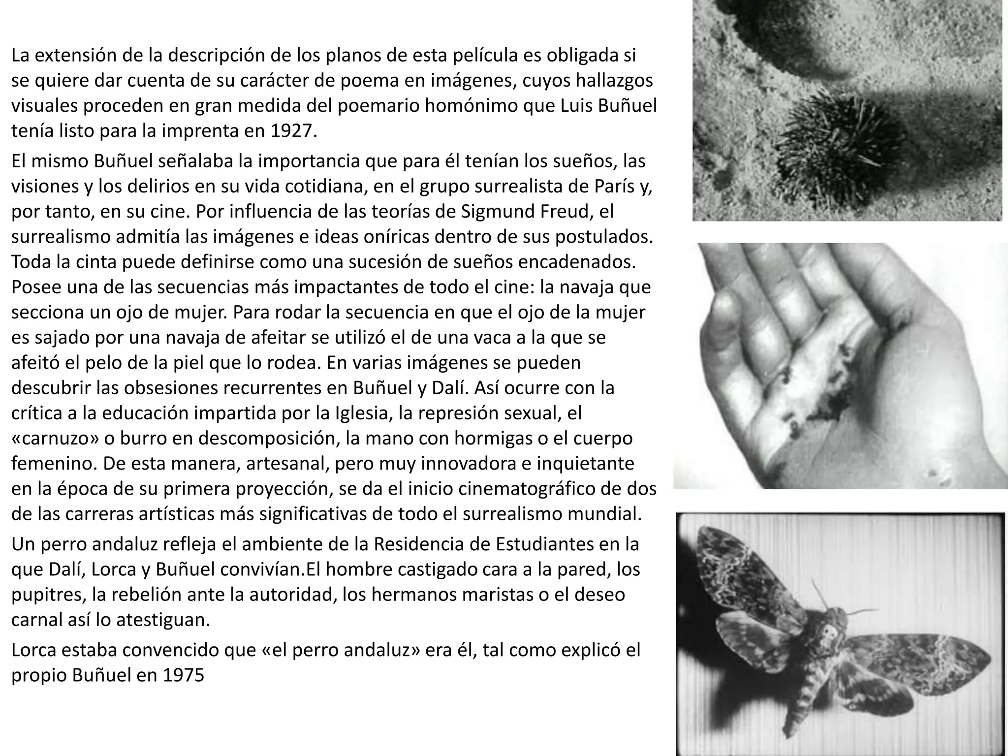 La extensión de la descripción de los planos de esta película es obligada si
se quiere dar cuenta de su carácter de poema en imágenes, cuyos hallazgos
visuales proceden en gran medida del poemario homónimo que Luis Buñuel
tenía listo para la imprenta en 1927.
El mismo Buñuel señalaba la importancia que para él tenían los sueños, las
visiones y los delirios en su vida cotidiana, en el grupo surrealista de París y,
por tanto, en su cine. Por influencia de las teorías de Sigmund Freud, el
surrealismo admitía las imágenes e ideas oníricas dentro de sus postulados.
Toda la cinta puede definirse como una sucesión de sueños encadenados.
Posee una de las secuencias más impactantes de todo el cine: la navaja que
secciona un ojo de mujer. Para rodar la secuencia en que el ojo de la mujer
es sajado por una navaja de afeitar se utilizó el de una vaca a la que se
afeitó el pelo de la piel que lo rodea. En varias imágenes se pueden
descubrir las obsesiones recurrentes en Buñuel y Dalí. Así ocurre con la
crítica a la educación impartida por la Iglesia, la represión sexual, el
«carnuzo» o burro en descomposición, la mano con hormigas o el cuerpo
femenino. De esta manera, artesanal, pero muy innovadora e inquietante
en la época de su primera proyección, se da el inicio cinematográfico de dos
de las carreras artísticas más significativas de todo el surrealismo mundial.
Un perro andaluz refleja el ambiente de la Residencia de Estudiantes en la
que Dalí, Lorca y Buñuel convivían.El hombre castigado cara a la pared, los
pupitres, la rebelión ante la autoridad, los hermanos maristas o el deseo
carnal así lo atestiguan.
Lorca estaba convencido que «el perro andaluz» era él, tal como explicó el
propio Buñuel en 1975
 