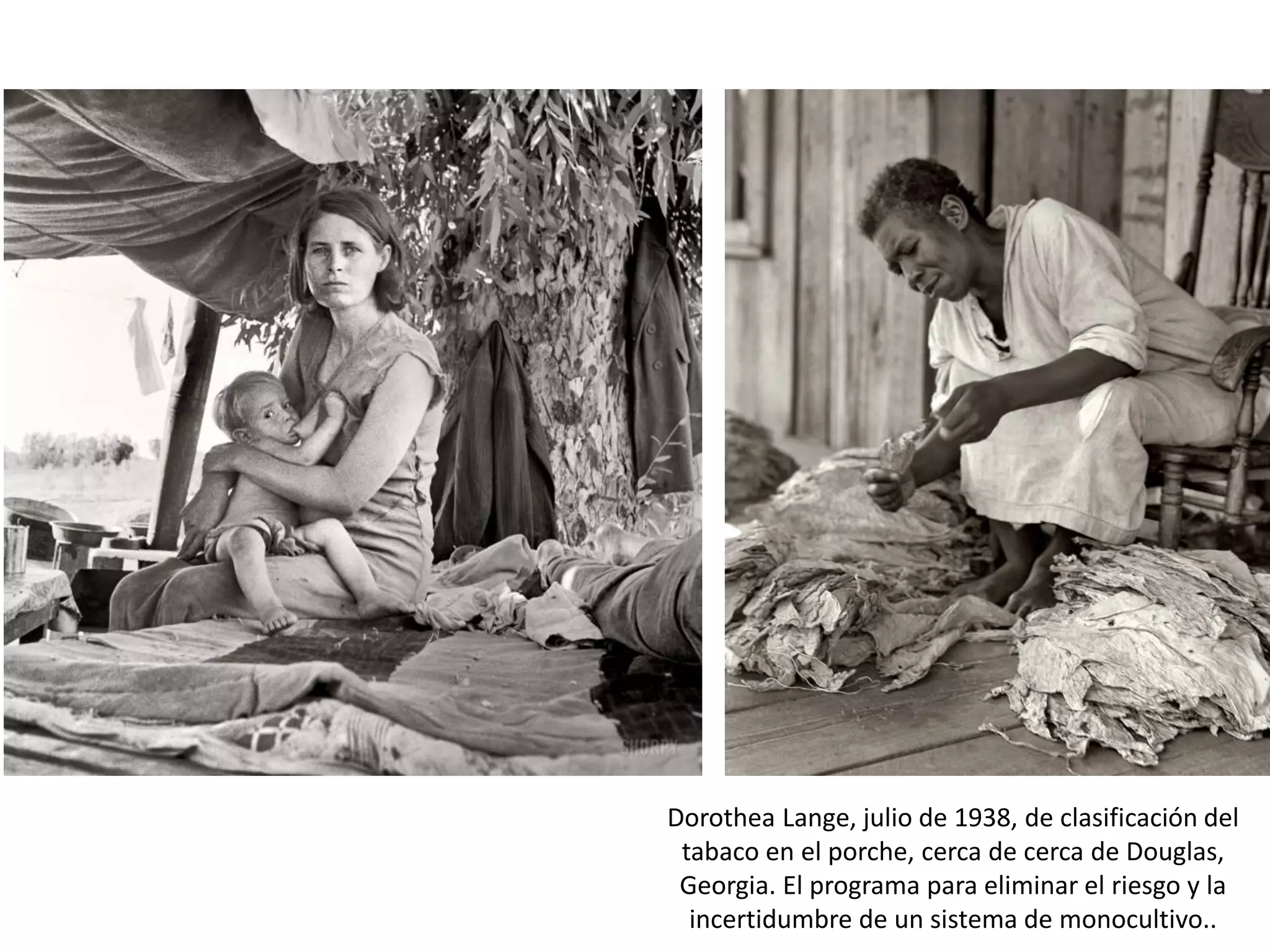 Dorothea Lange, julio de 1938, de clasificación del
tabaco en el porche, cerca de cerca de Douglas,
Georgia. El programa para eliminar el riesgo y la
incertidumbre de un sistema de monocultivo..
 