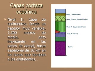 Capas corteza
     oceánica
► Nivel   1: Capa de
  sedimentos. Desde un
  espesor muy variable,
  1.300     metros     de
  media,             pero
  inexistente    en   las
  zonas de dorsal, hasta
  espesores de 10 km en
  las zonas que bordean
  a los continentes.
 