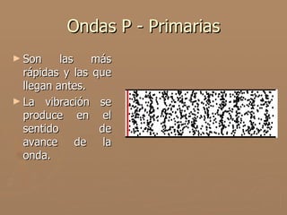 Ondas P - Primarias
► Son     las   más
  rápidas y las que
  llegan antes.
► La vibración se
  produce en el
  sentido        de
  avance de la
  onda.
 