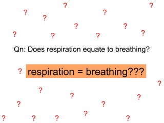 Qn: Does respiration equate to breathing?
respiration = breathing???
?
?
?
?
?
?
?
?
?
?
? ?
?
?? ?
?
?
?
? ?
?
?
 
