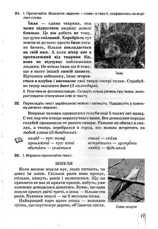 їжак
31. І. Прочитайте. Визначте «відоме» і «нове» в тексті, спираючись на виді­
лені слова.
їжак — єдина тварина, яка
може підпустити людину доволі
близько. Це він робить не тему,
що дуже сміливий. Хоробрість тут
зовсім ні до чого: просто їжак пога­
но бачить, більше покладається
на свій нюх. А коли вктер дме в
протилежний від тварини бік.
вона не відчуває наближення
людини. Не втікає їя :ак щр й тому,
що в нього інший спосіб захисту.
Відчувши небезпеку, їжак згорта­
ється в клубок і виставляє свох тьерд: гострі голки. Спробуй-
но тепер захопити його (З календаря).
II. Розгляньте фотоілюстрацію Склас>ыапыса речень про їжака вико­
ристовуючи сполучення слів :з тексту
32. Перекладіть текст українською мовою запишіть. П.дкресл.ть у кожно­
му реченні «відоме».
Впервые человек одсЦапшил голубя ещё 5 тысяч лет назад.
Стех пор эти птицы неразлучны с на. іи. Все домашние породы
голубей произошли от дикого елзаря. Раньше он обитал в ска­
лах, а теперь перебрался в город, его молено встретить на
любой улице (3 довідника).
«''СѴ назад — тут: тому ска и — скіля
произойти — тут: пітй встретить — зустріти
обитать — селитися любой — будь який
33. І. Виразно прочитайте текст.
ЗОЗУЛЯ
Коли весною зозуля кує, люди питеють, чи
довго їм жити. Скільки разів вопа прокує,
стільки, кажуть, років і залишилося. Що цл
прикмета не має ні крихти празди, мабуть, уже
кожному доводилося дізнатись. Буває, шс одна
зозуля прокує двічі-тричі, а інша — більше ста
разів. Кування зозулі — пе її весільна пісня.
Найкращий харч цього птаха — волохата
гусінь, що спустошує дерево, об’їдаючи листя. Сива зозуля
17
 