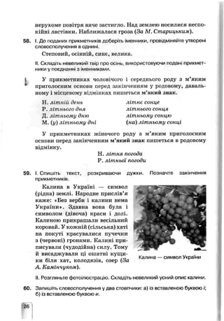 нерухоме повітря наче застигло. Над землею носилися неспо­
кійні ластівки. Наближалася гроза (За М. Старицьким).
58. І. До поданих прикметників дооеріть іменники, пооьідміняйте утворені
словосполучення в однині.
Степовий, осінній, синє, велика.
II. Складіть невеликий тьір про осіпь, викооисювуючи подані прикмет­
ники у іюєднанні з іменниками.
1 У прикметниках чоловічого і середнього роду з м’яким
приюлосним основи перед закінченням у рсцовому, даваль­
ному і місцевому відмінках пишеться м’який знак.
Н. літній день літнє сонце
Р. літнього дня літнього сонця
Д літкъому дню літньому сонцю
М. (у) літньому дні (на) літньому сонці
У прикметниках жіночого роду з м’яким приголосним
основи перед закінченням м’який знак пишеться в родовому
відмінку.
Н. літня погода
Р. літньої погоди
59. І. Спишіть текст, розкриваючи дужки. Позначте закінчення
прикметників
Калина в Україні — символ
(рідна) землі. Народне прислів’я
каже: «Без верой і калини нема
України». Здавна вона сула і
символом (дівоче) краси і долі.
Калиною прикрашали весільний
коровай. У кожній (сільська) хаті
на покуті красувалися пучечки
з (червоні) гронами. Калині при­
писували (чудодійна) силу. Тому
и висаджували ці ошатні кущи- „ w
_. /о Калина — символ України
ки біля хат, колодязів, озер (За
А. Камінчуком).
II Розгляньте фотоілюстрацію. Складіть невеликий усний опис калини.
60. Запишіть словосполучення у два стовпчики: а) із вставленою буквою /;
б/ із вс гавленою буквою и.
26
 