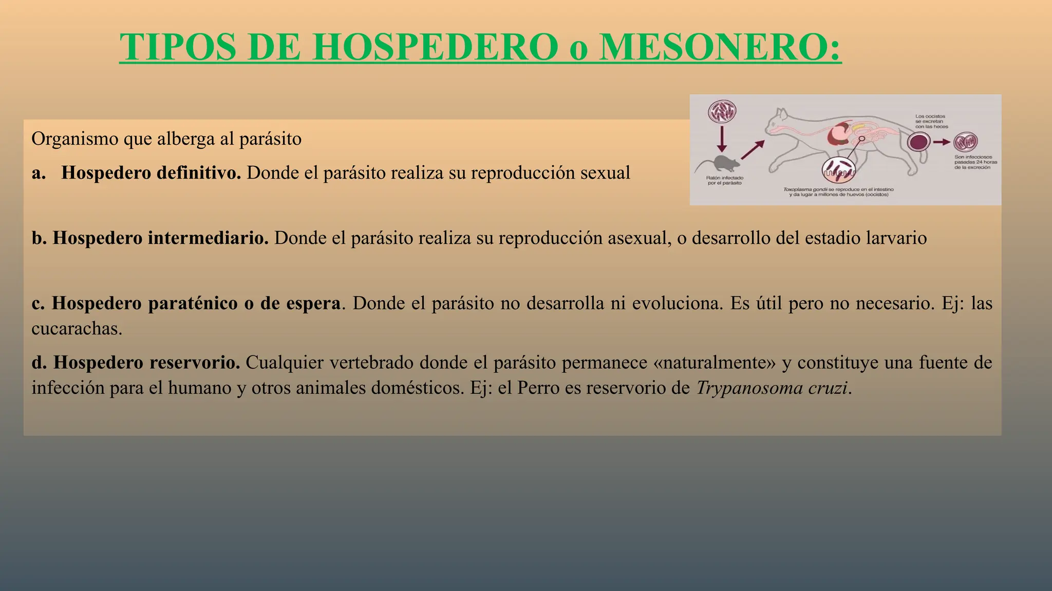 Organismo que alberga al parásito
a. Hospedero definitivo. Donde el parásito realiza su reproducción sexual
b. Hospedero intermediario. Donde el parásito realiza su reproducción asexual, o desarrollo del estadio larvario
c. Hospedero paraténico o de espera. Donde el parásito no desarrolla ni evoluciona. Es útil pero no necesario. Ej: las
cucarachas.
d. Hospedero reservorio. Cualquier vertebrado donde el parásito permanece «naturalmente» y constituye una fuente de
infección para el humano y otros animales domésticos. Ej: el Perro es reservorio de Trypanosoma cruzi.
TIPOS DE HOSPEDERO o MESONERO:
 