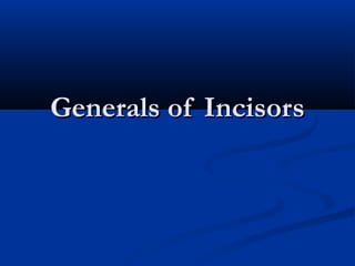 Generals of IncisorsGenerals of Incisors
 