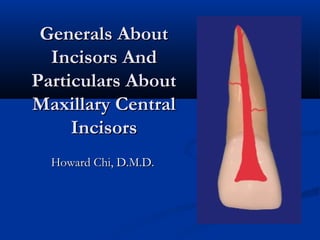 Generals AboutGenerals About
Incisors AndIncisors And
Particulars AboutParticulars About
Maxillary CentralMaxillary Central
IncisorsIncisors
Howard Chi, D.M.D.Howard Chi, D.M.D.
 