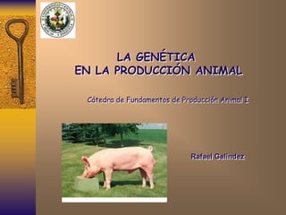 LA GENÉTICA
EN LA PRODUCCIÓN ANIMAL
Cátedra de Fundamentos de Producción Animal I
Rafael Galíndez
 