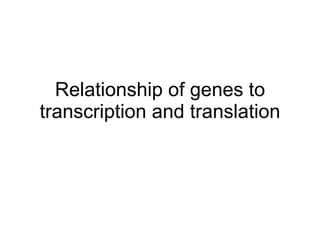 Relationship of genes to transcription and translation 