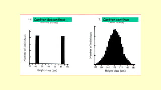 Caráter descontínuo Caráter contínuo
 