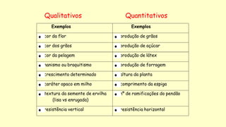Exemplos Exemplos
cor da flor produção de grãos
cor dos grãos produção de açúcar
cor da pelagem produção de látex
nanismo ou braquitismo produção de forragem
crescimento determinado altura da planta
caráter opaco em milho comprimento da espiga
textura da semente de ervilha
(lisa vs enrugada)
nº de ramificações do pendão
resistência vertical resistência horizontal
Qualitativos Quantitativos
 