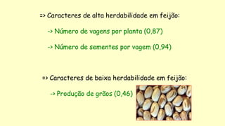 => Caracteres de alta herdabilidade em feijão:
-> Número de vagens por planta (0,87)
-> Número de sementes por vagem (0,94)
=> Caracteres de baixa herdabilidade em feijão:
-> Produção de grãos (0,46)
 