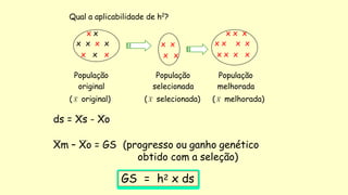 Qual a aplicabilidade de h2
?
x x
x x x x
x x x
x x
x x
População
selecionada
( X selecionada)
x x x
x x x x
x x x x
População
melhorada
( X melhorada)
População
original
( X original)
ds = Xs - Xo
Xm – Xo = GS (progresso ou ganho genético
obtido com a seleção)
GS = h2 x ds
 
