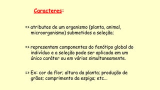 Caracteres:
=> atributos de um organismo (planta, animal,
microorganismo) submetidos a seleção;
=> representam componentes do fenótipo global do
indivíduo e a seleção pode ser aplicada em um
único caráter ou em vários simultaneamente.
=> Ex: cor da flor; altura da planta; produção de
grãos; comprimento da espiga; etc...
 