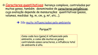  Caracteres quantitativos: herança complexa, controlados por
muitos genes, também denominados de caracteres poligênicos,
cuja avaliação depende de mensurações quantitativas (pesos,
volumes, medidas: kg, m, cm, g, m2, etc...).
 São muito influenciados pelo ambiente
Porque??
Como cada loco (gene) é influenciado pelo
ambiente, e como são muitos os genes
controlando esses caracteres, a influência total
do ambiente é alta.
 