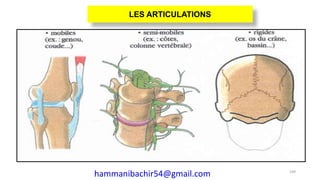 109
LES ARTICULATIONS
hammanibachir54@gmail.com
 