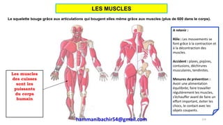 Le squelette bouge grâce aux articulations qui bougent elles même grâce aux muscles (plus de 600 dans le corps).
A retenir :
Rôle : Les mouvements se
font grâce à la contraction et
à la décontraction des
muscles.
Accident : plaies, piqûres,
contusions, déchirures
musculaires, tendinites.
Mesures de prévention :
Avoir une alimentation
équilibrée, faire travailler
régulièrement les muscles,
s’échauffer avant de faire un
effort important, éviter les
chocs, le contact avec les
objets coupants.
Les muscles
des cuisses
sont les
puissants
du corps
humain
114
LES MUSCLES
hammanibachir54@gmail.com
 