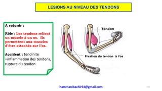 Tendon
Fixation du tendon à l’os
A retenir :
Rôle : Les tendons relient
un muscle à un os. Ils
permettent aux muscles
d’être attachés sur l’os.
Accident : tendinite
=inflammation des tendons,
rupture du tendon.
116
LESIONS AU NIVEAU DES TENDONS
hammanibachir54@gmail.com
 