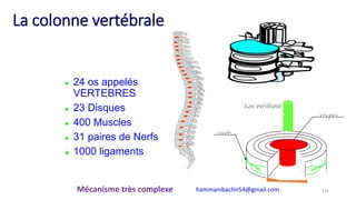 La colonne vertébrale
 24 os appelés
VERTEBRES
 23 Disques
 400 Muscles
 31 paires de Nerfs
 1000 ligaments
Noyau
Axe vertébral
Nerfs
Mécanisme très complexe 132hammanibachir54@gmail.com
 