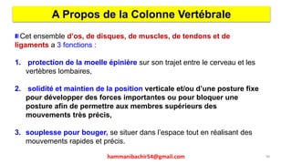 Cet ensemble d’os, de disques, de muscles, de tendons et de
ligaments a 3 fonctions :
1. protection de la moelle épinière sur son trajet entre le cerveau et les
vertèbres lombaires,
2. solidité et maintien de la position verticale et/ou d’une posture fixe
pour développer des forces importantes ou pour bloquer une
posture afin de permettre aux membres supérieurs des
mouvements très précis,
3. souplesse pour bouger, se situer dans l’espace tout en réalisant des
mouvements rapides et précis.
A Propos de la Colonne Vertébrale
98hammanibachir54@gmail.com
 