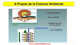 A Propos de la Colonne Vertébrale
99
hammanibachir54@gmail.com
 