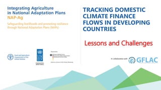 TRACKING DOMESTIC
CLIMATE FINANCE
FLOWS IN DEVELOPING
COUNTRIES
Lessons and Challenges
In collaboration with
 