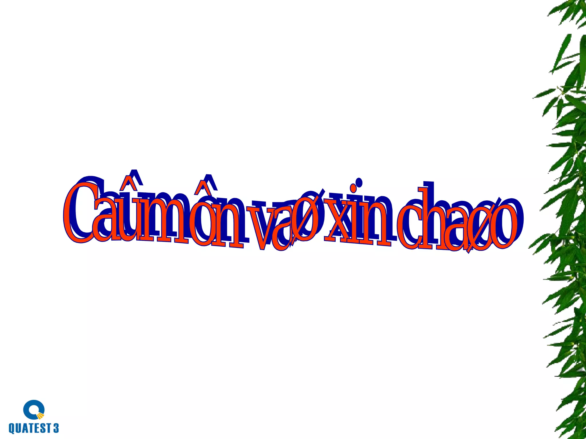 Giáo trình đánh giá nội bộ